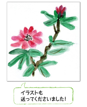 万木 千枝 様(87歳・女性・滋賀県)