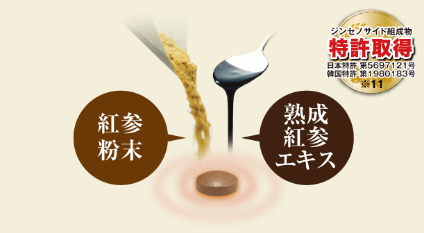 紅参粉末・熟成紅参エキス