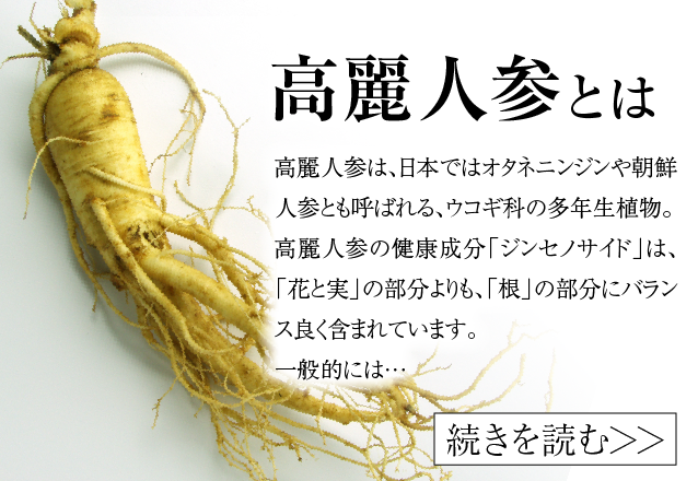 金氏高麗人参】高麗人参 健康食品 通販市場売上高NO.1