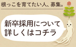 金氏高麗人参新卒採用エントリーはコチラ