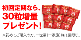 初回のみもう30粒プレゼント