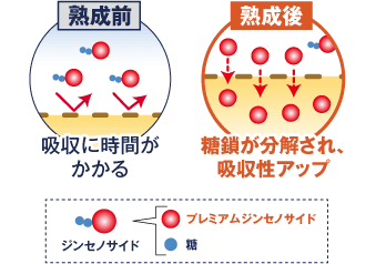 プレミアムジンセノサイドの図