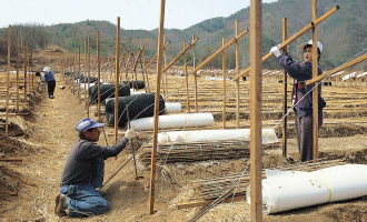 1.種まき・栽培