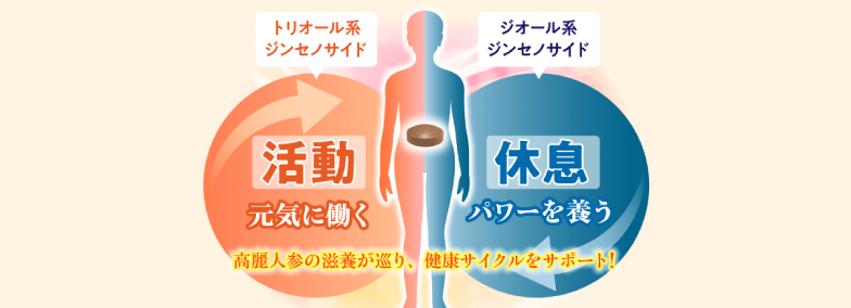 高麗人参