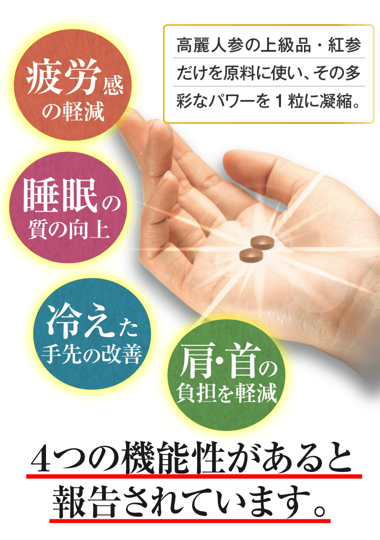 高麗人参 機能性表示食品 神秘の健康力 疲労感 睡眠 冷え 肩・首