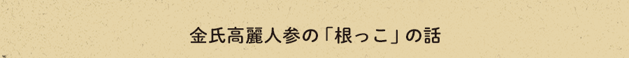 金氏高麗人参の「根っこ」の話