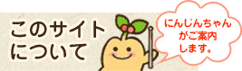 このサイトについて