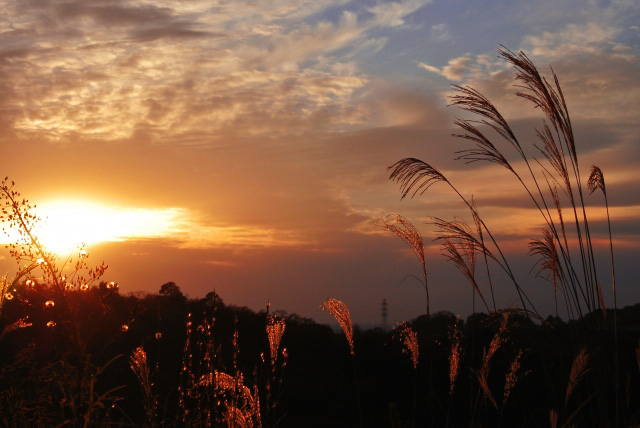 秋の夕日