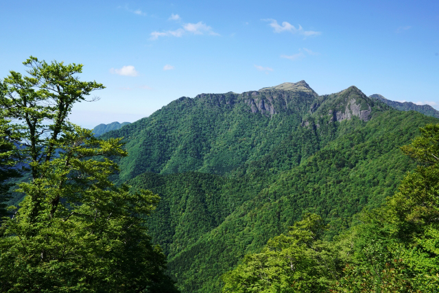 夏の山